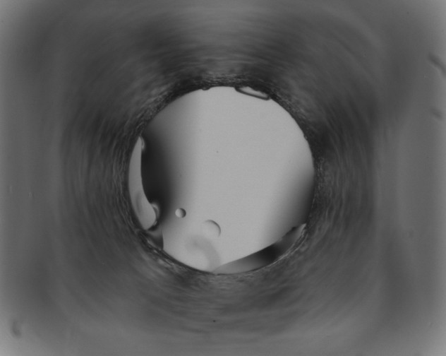 X0000091210033200709061448