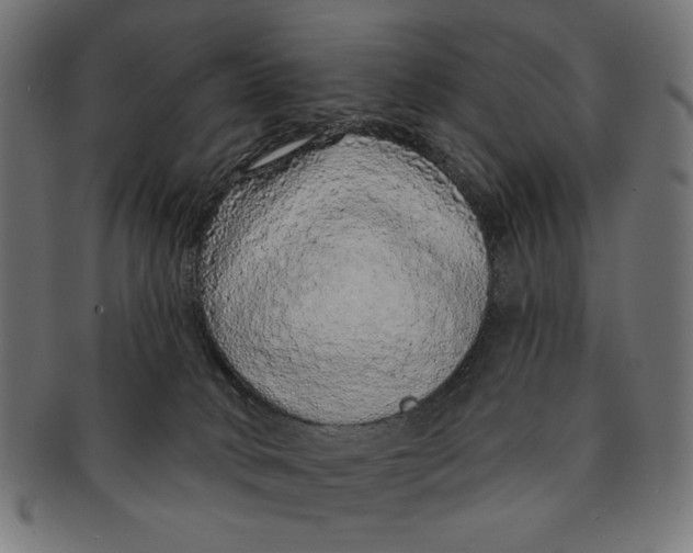 X0000091210034200709061448