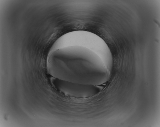 X0000091210035200709061448