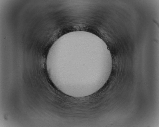 X0000091210038200709061448