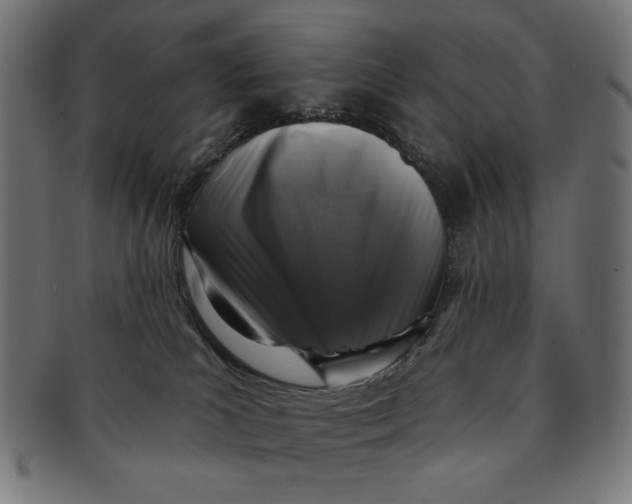 X0000091210039200709061448