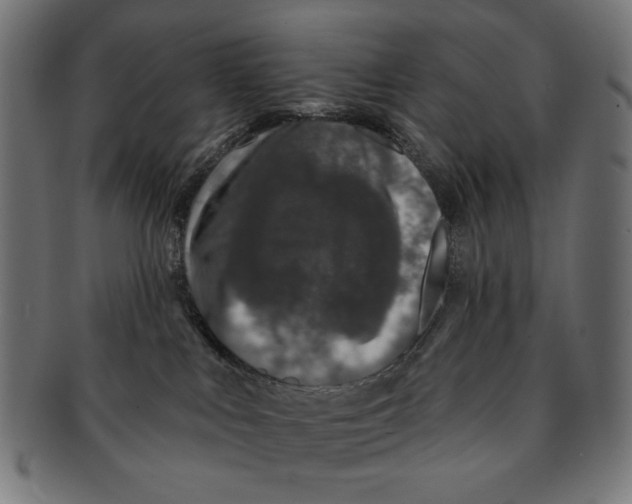 X0000091210043200709061448