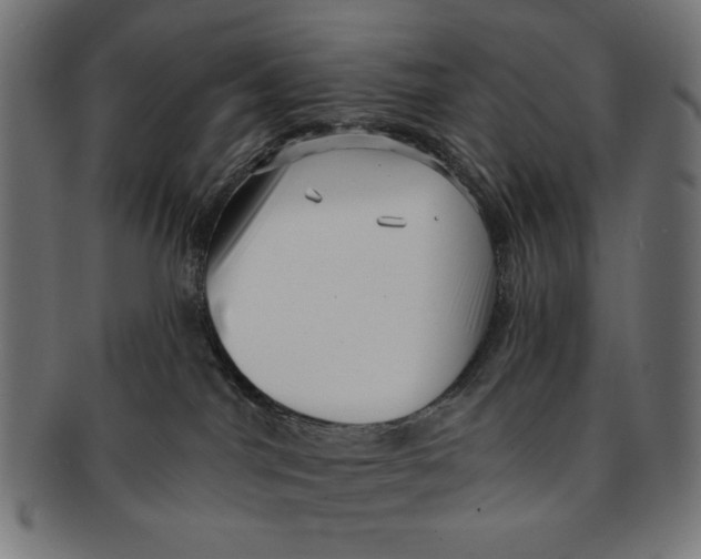 X0000091210044200709061448