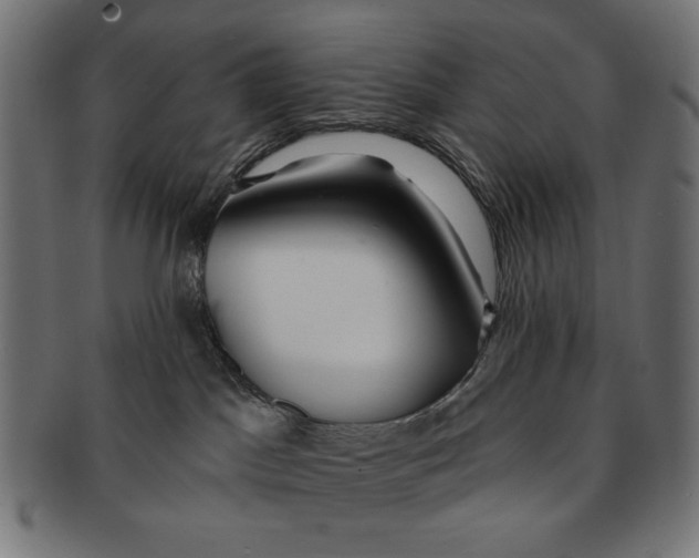 X0000091210045200709061448