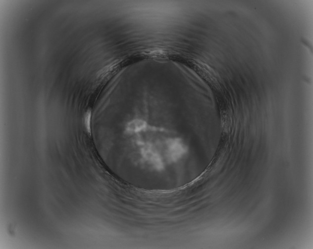 X0000091210047200709061448