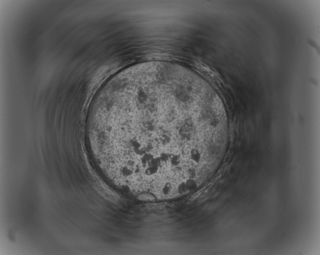 X0000091210049200709061447