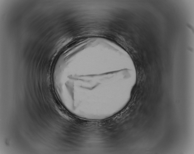 X0000091210050200709061447