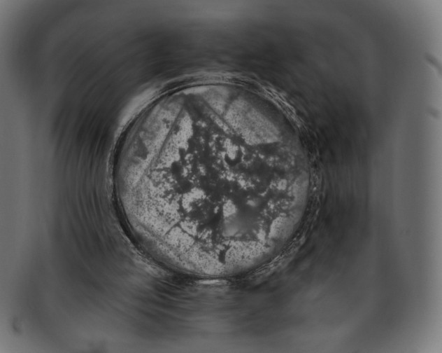 X0000091210053200709061447