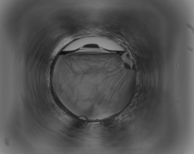 X0000091210054200709061447