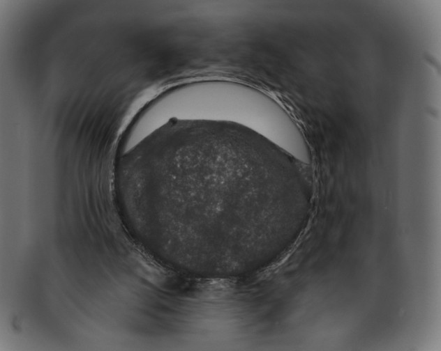 X0000091210056200709061447