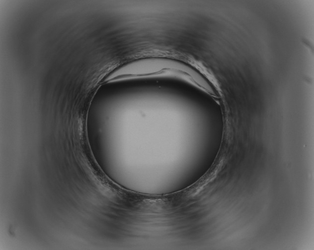 X0000091210057200709061447