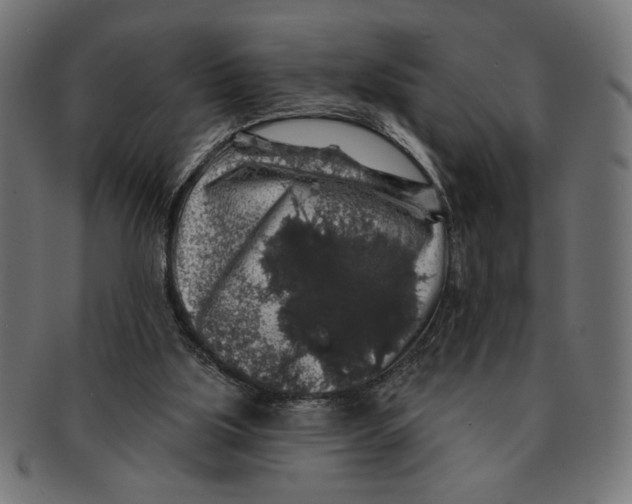 X0000091210059200709061447