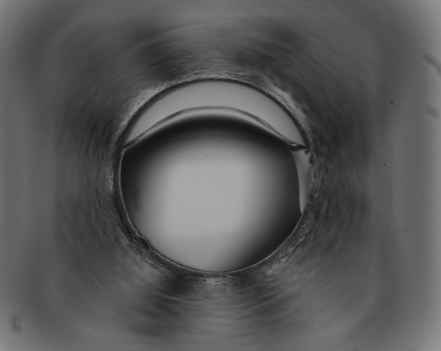 X0000091210060200709061447