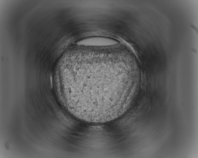 X0000091210061200709061447