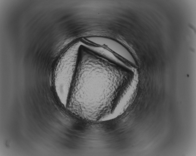 X0000091210062200709061447