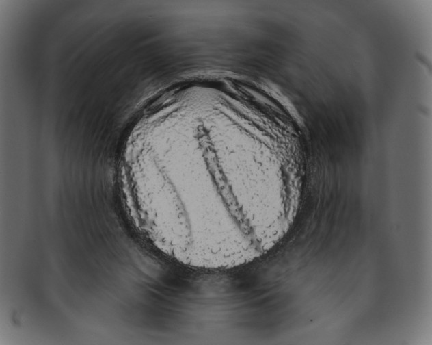 X0000091210063200709061447