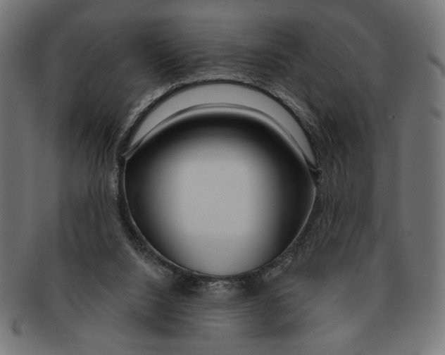 X0000091210064200709061447