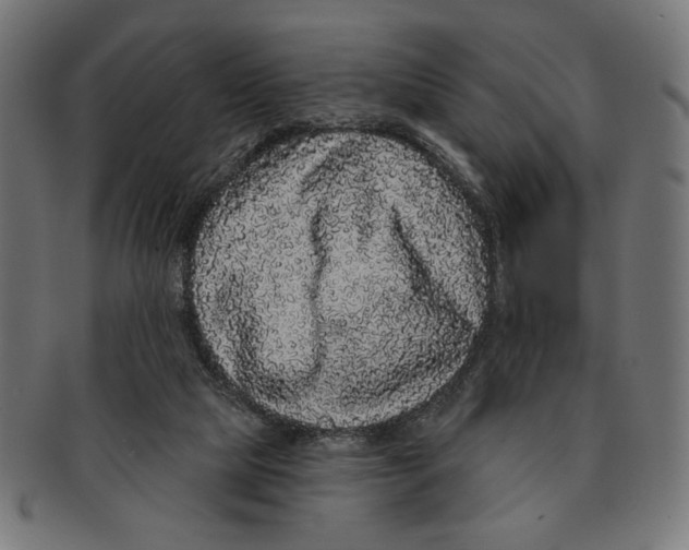 X0000091210065200709061447