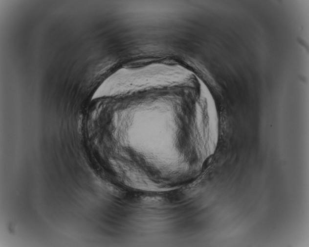 X0000091210066200709061447