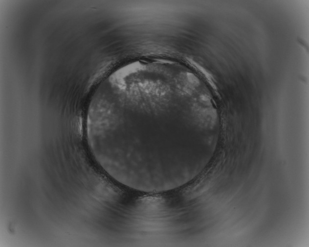 X0000091210067200709061447