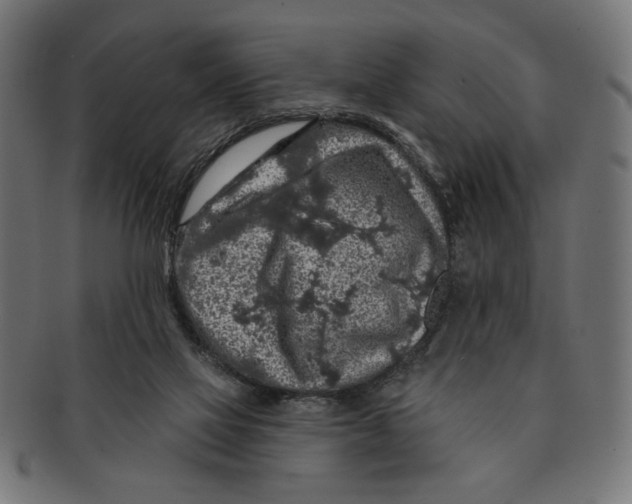 X0000091210069200709061447