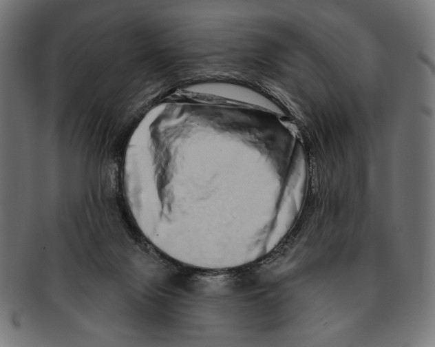 X0000091210071200709061447