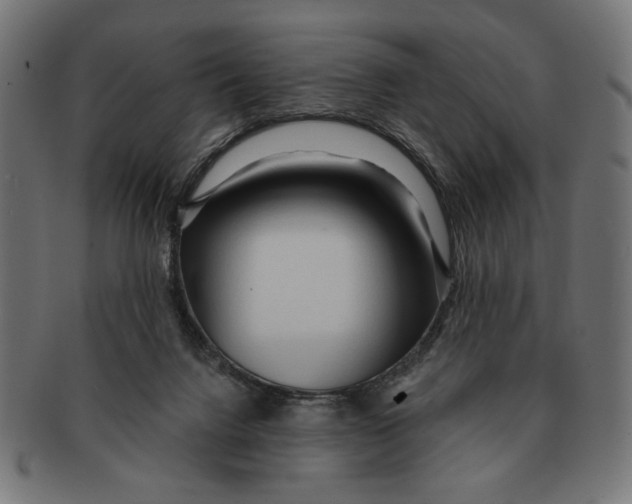 X0000091210072200709061447