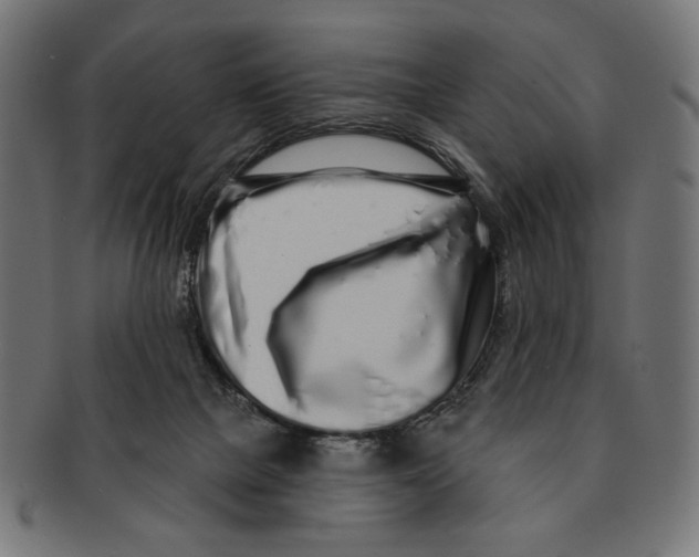 X0000091210073200709061447