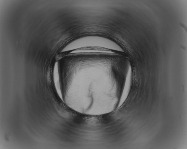 X0000091210074200709061447