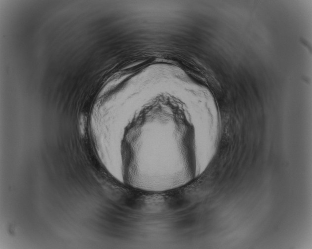 X0000091210075200709061447