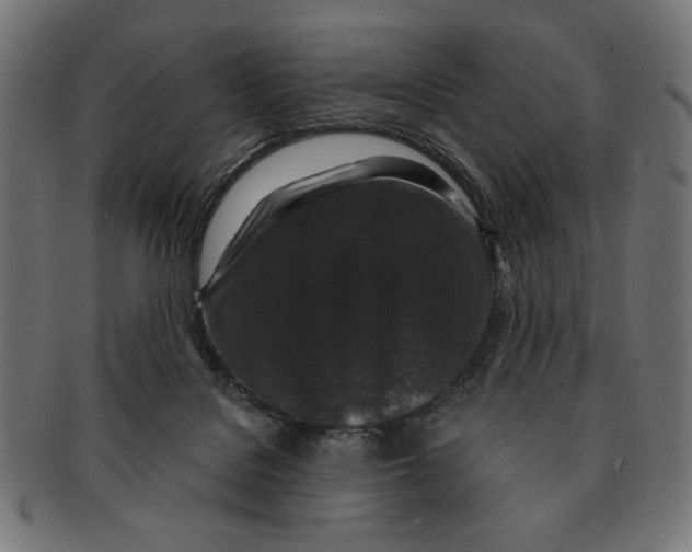 X0000091210076200709061447