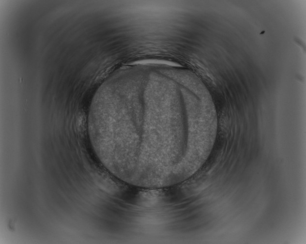 X0000091210079200709061447