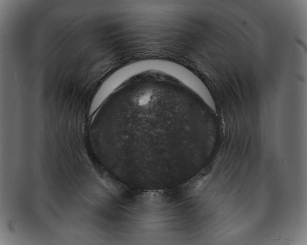 X0000091210080200709061447