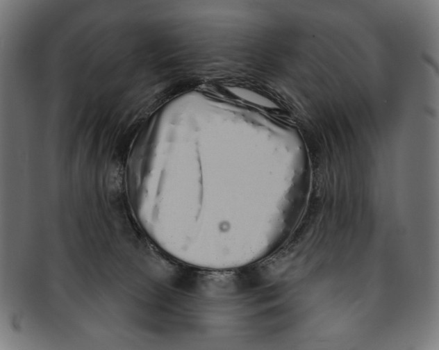 X0000091210081200709061447