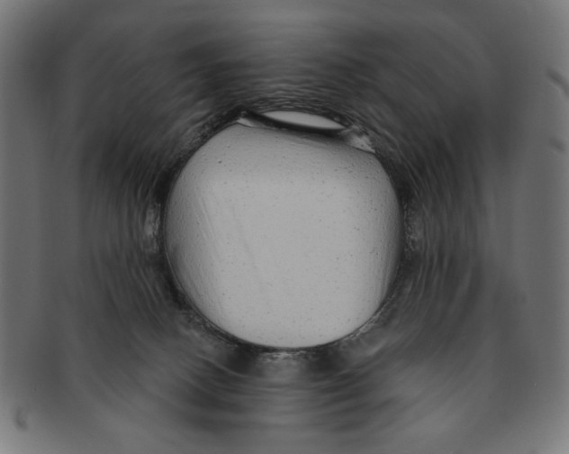 X0000091210082200709061447