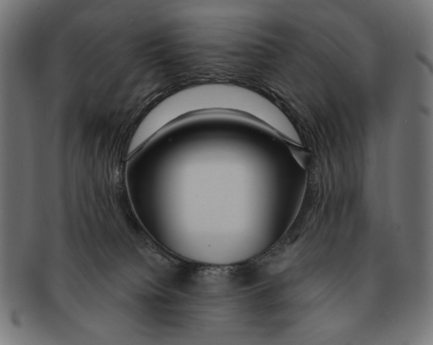 X0000091210084200709061447