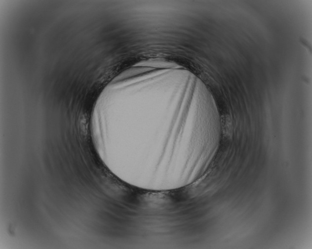 X0000091210086200709061448