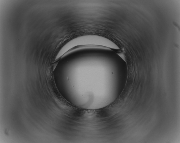 X0000091210088200709061448