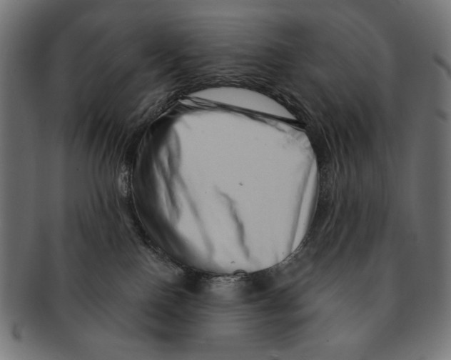 X0000091210090200709061448