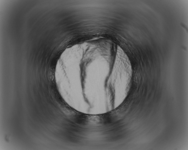 X0000091210091200709061448