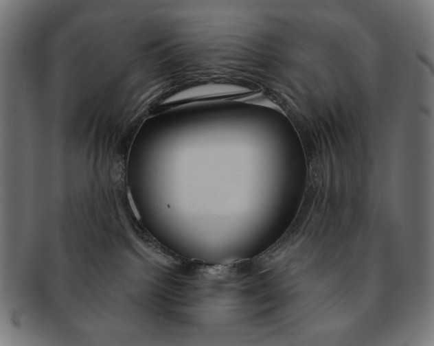 X0000091210092200709061448