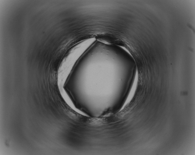 X0000091210093200709061448