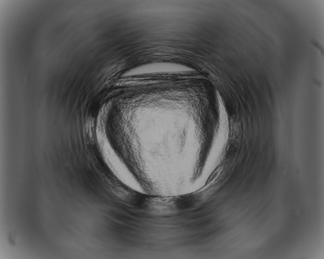 X0000091210094200709061448