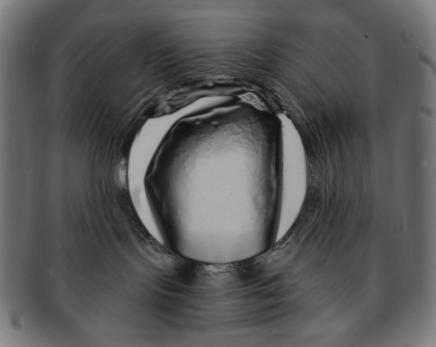 X0000091210095200709061448