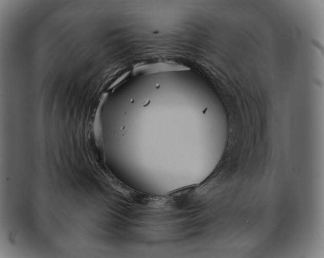 X0000091210096200709061448