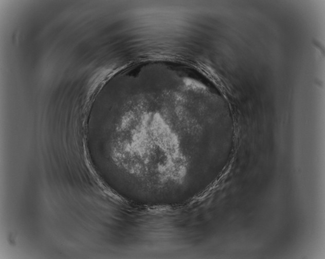 X0000091210097200709061447