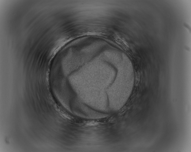 X0000091210098200709061447