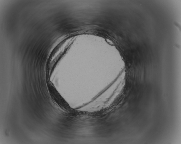 X0000091210100200709061447