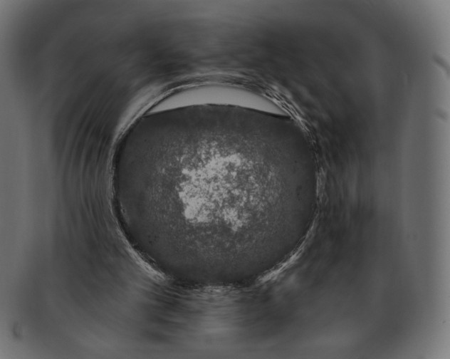 X0000091210101200709061447