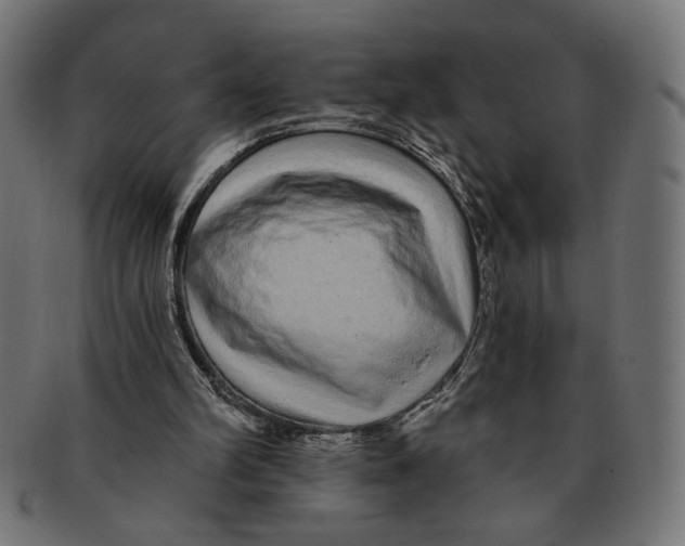 X0000091210102200709061447